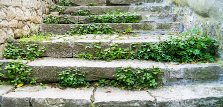 old stone stairs with moss 