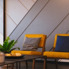 two yellow chairs and a plant against a gray wall