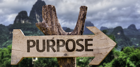 Purpose wooden sign with a forest background