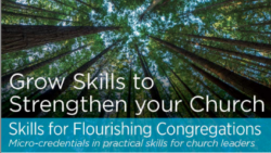 Skills for Flourishing Congregations