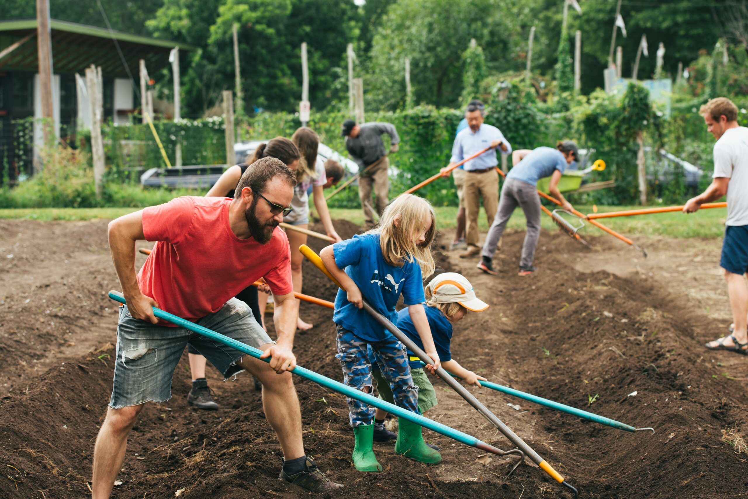 Adults and children plow a garden row.