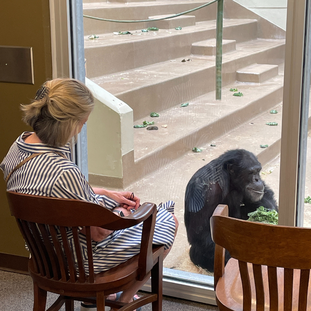 Elizabeth Lynn sitting by a window looking at an ape